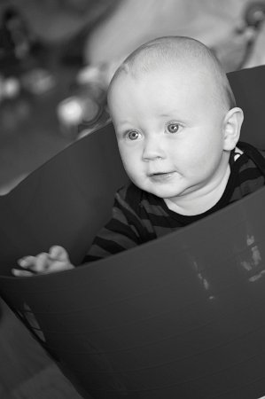 Gal_131805_0118 copy